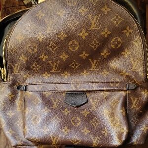 Louis Vuitton Classic Monogram Backpack